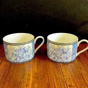 Palace Garden Coventry tea cups